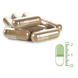 AniForte Wurm-formel 50 Kapseln