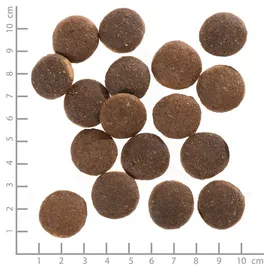 Wolfsblut Red Rock Adult 12,5 kg