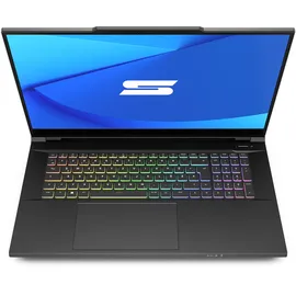 XMG SCHENKER KEY 17 Pro - M24fry - 17,3" QHD IPS 240 Hz G-Sync Display, Intel Core i9-14900HX , 32GB RAM, 2TB SSD, NVIDIA GeForce RTX 4090, Windows 11 Pro | Laptop by NBB
