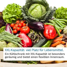 Bosch Serie 6 KGN49AIBT