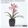 Homescapes Kunstblumen Cymbidium Orchidee rosa in einem schwarzen Topf, 38 cm