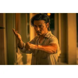 Master Z - The Ip Man Legacy