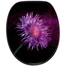 Sanilo WC-Sitz Purple Dust mit Absenkautomatik