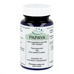 Papaya Frucht Pulver