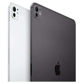 Apple iPad Pro 11" (5. Generation 2024) 256 GB Wi-Fi Space Schwarz