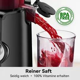 canoly Slow Juicer schwarz
