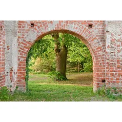 Fototapete PAPERMOON "Ziegelmauer Bogen", bunt, B:2,50m L:1,86m, Vlies, Tapeten