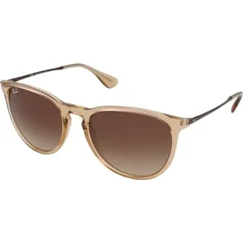 Ray-Ban Erika Color Mix Rb4171