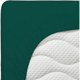 schlafgut Spannbettlaken Jersey-Baumwolle 120 x 200 - 130 x 220 cm grün