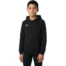 Puma Teamgoal 23 Black 128