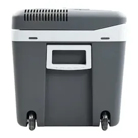 vidaXL Thermoelektrische Kühlbox Mobil 40 l