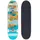 BTFL BJOERK Skateboard mehrfarbig
