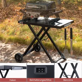 Royal Gourmet Tragbarer 2-Brenner Gasgrill schwarz