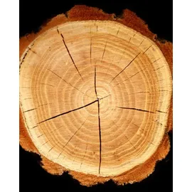 YODEYMA Platinum Eau de Parfum 100 ml