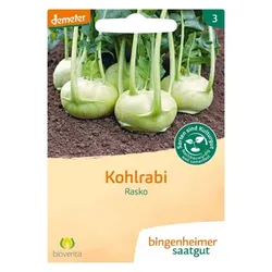 Bingenheimer Saatgut Kohlrabi Rasko