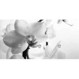 Queence Garderobenleiste »Flower«, (1 St.), 67777919-0 schwarz B/H/T: 60 cm x 30 cm x 1,5 cm,