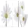vidaXL Raumteiler Klappbar 160 x 170 cm Blume