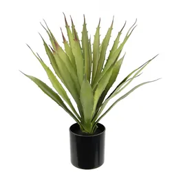 I.GE.A. Kunstpflanze »Künstliche Agave Aloe Vera im Topf Kunstpflanze«, Kaktus Kakteen I.GE.A. grün
