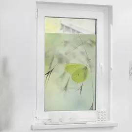 Lichtblick Fensterfolie Schmetterling Grün 1 St., blickdicht, strukturiertKlebepunkte, selbstklebend, Sichtschutz, grün Fensterfolie, 11105240-4