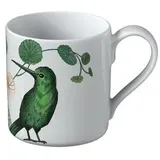 Villeroy & Boch Avarua weiß Mokka-/Espressotasse 80ml (1046551420)