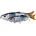 Savage Gear 13 5cm 20g SS 01-Herring
