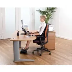 FELLOWES Rückenstütze Professional Netz schwarz 8029901