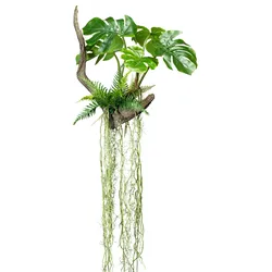 CREATIV green künstliche Pflanze Splitphilodendron x5 mit  Drahthänger, auf Wurzel 50x50/160cm, mit Farn und Luftwurzeln