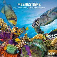 Tushita paperart Meerestiere 2026