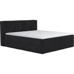Boxspringbett HOME AFFAIRE "Sacy", schwarz (charcoal), B:170cm L:230cm, 88% Polyester, 12% Polyamid, Komplettbetten, Boxbett inkl. Topper, 2 Matratzen, Härtegrade H2, H3 und H4 wählbar