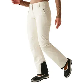 Dare 2b Diminish Pant Skihose Egret 44