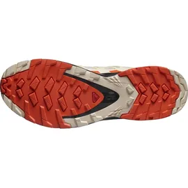 Salomon XA Pro 3D V8 Gore-Tex Damen lunar rock/cherry tomato/sun kiss 42