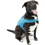 Kurgo RSG Townie Hundegeschirr blau XL