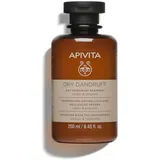 Apivita Dandruff Dry Dandruff Shampoo Shampoo gegen Schuppen 250 ml