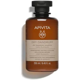 Apivita Dandruff Dry Dandruff Shampoo Shampoo gegen Schuppen 250 ml