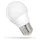 Spectrum LED-Birne 4W E27 320 lm warmweiß 1 St.