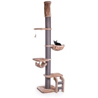 Canadian Cat Company Kratzbaum Deckenspanner Lofty - Cappuccino auch für große und schwere Katzen, XXL Kratzbaum deckenhoch, massiver Stamm, variable Höhe 250~275cm braun