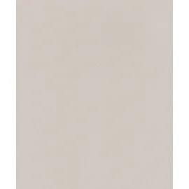 Rasch Textil Rasch Vliestapete 415360 Home Style uni beige 10,05 x 0,53 m