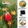 Hellum Lichterkette Solar 380 cm 20 LEDs warmweiß wetterfest