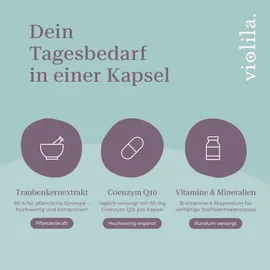violila Q10 Premium Kapseln 90 St.