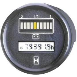 BAUSER 830/008-028-0-1-003-1010 24VDC 1,73V/Z Digitales Einbaumessgerät 0 - 99999.9h