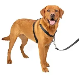 PetSafe 3-in-1-Geschirr und Rückhaltegurt