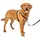 PetSafe 3-in-1-Geschirr und Rückhaltegurt
