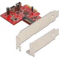 DeLock 90058 Schnittstellenkarte/Adapter USB 3.2 Gen 2 (3.1 Gen