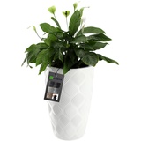 Kadax Blumentopf mit Einsatz und Griffen, aus Kunststoff, 48.5 cm Weiß - KADAX
