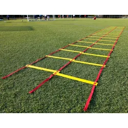 Doppel Koordinationsleiter - flach 8 m