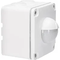 Züblin 25235 Swiss Garde 300 AP IP55