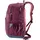 Deuter Cotogy cassis dahlia