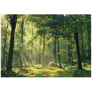WallArena Fototapete Grün, Papier, Baum/Pflanze/Natur, Rechteckig, 200x140 cm, FSC 100%, Tapeten - Wandverkleidungen, Fototapeten