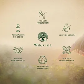 Erdling Borax Original + MSM Kapseln 120 St.