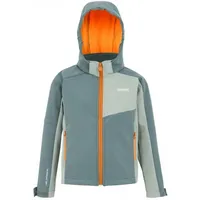 Regatta Softshelljacke ''AcidityVIII'' in Grau - 152